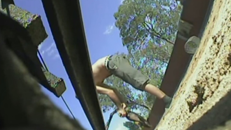 An Australian Broadcasting Corporation investigation showed the animals being fixed to mechanical lures (Pic: YouTube)