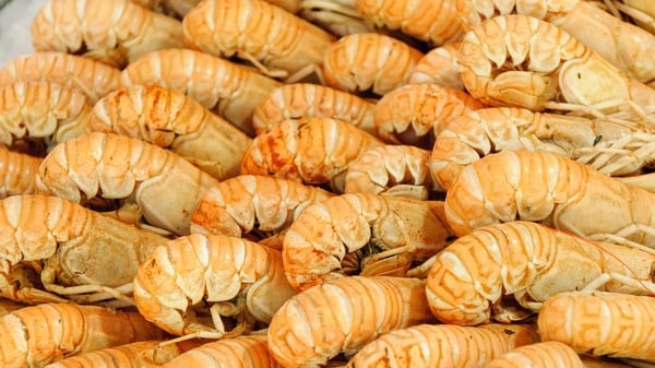 Grilled Garlic Langoustines