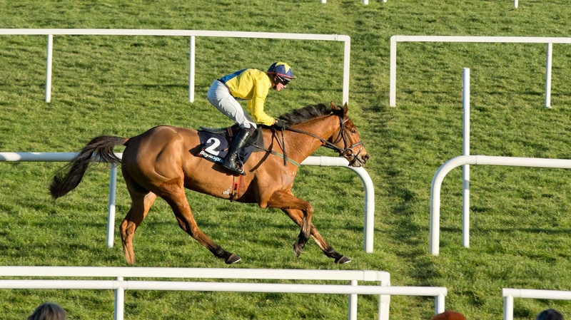 Foxrock in action recently at Leopardstown