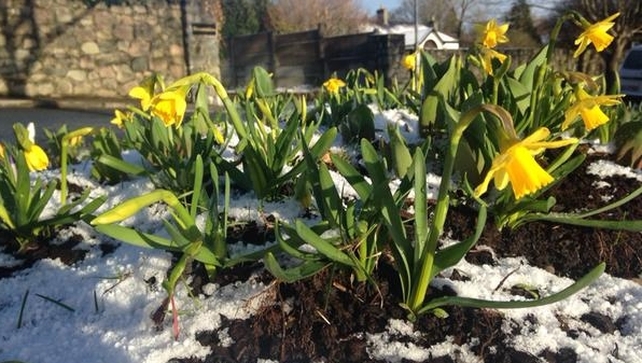 Spring snowfall in Co Galway (pic: @johnboyle52)