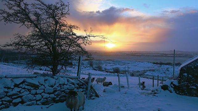 A snowy sunrise in Ross, Co Mayo (Pic; Shane Coogan)
