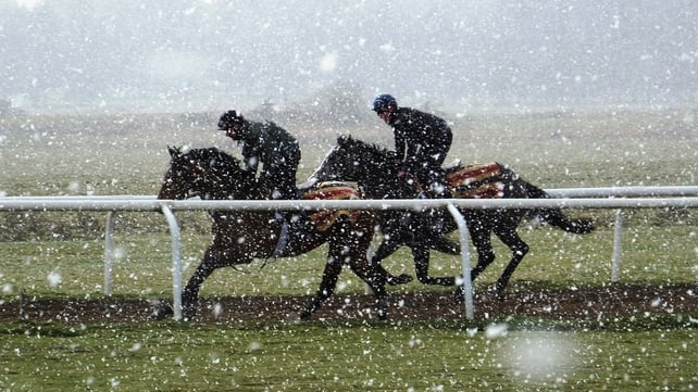 Part of John Oxx's string being put through their paces on The Curragh in Co Kildare (Pic: Paul Dempsey)