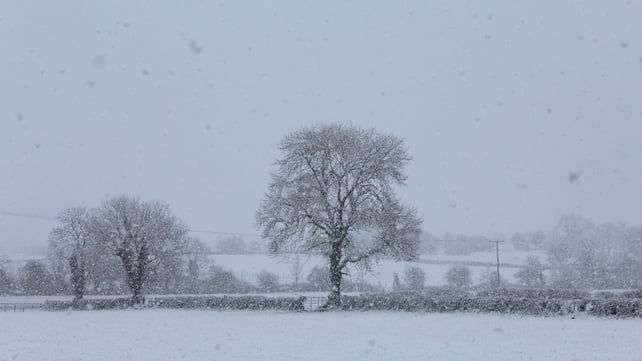 Snowfall in Athleague, Co Roscommon (Pic: Elaine Grehan)