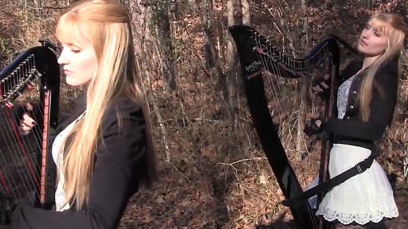 You have to admire their pluck