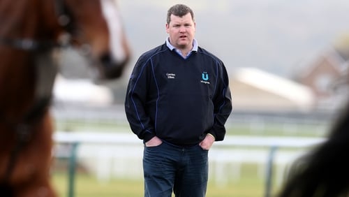 Gordon Elliott is hoping to see Utmost Zeal impress