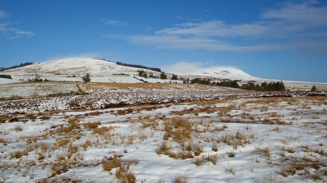 A snowy scene in Co Cavan (Pic: Martin Sheridan)