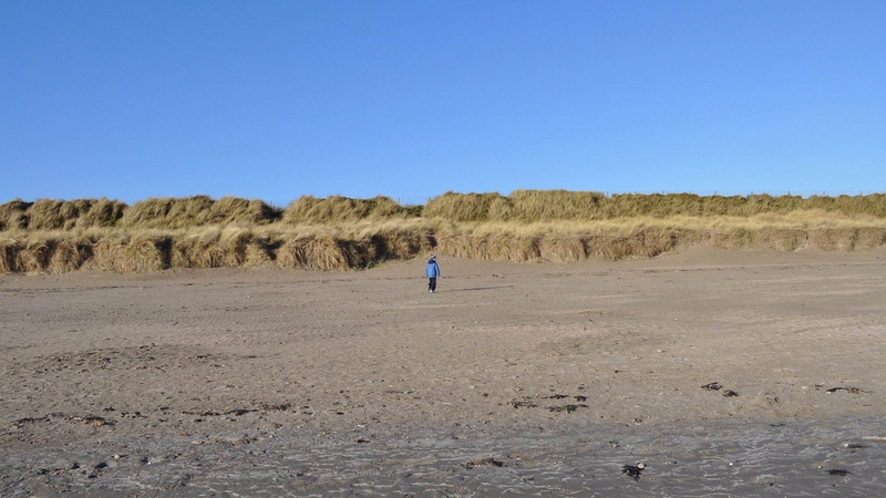 A stroll on Mornington Beach, Co Meath (Pic: Emma Berigan)