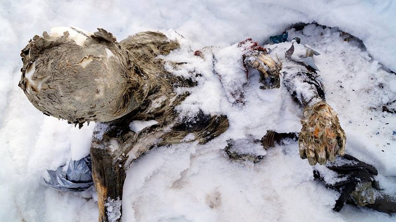 The bodies are believed to be climbers who vanished after an avalanche in 1959