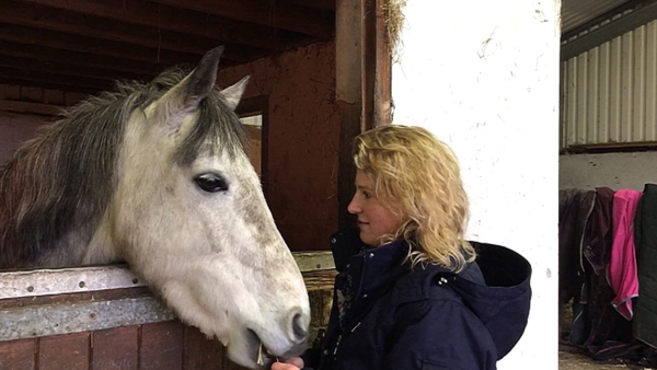 UK horse trainer prepares to train ponies on remote Irish island