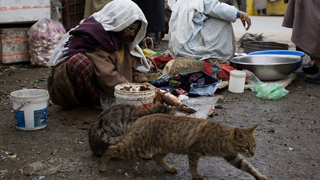 A fisherwoman cleans fish in a market 
in Kashmir, India