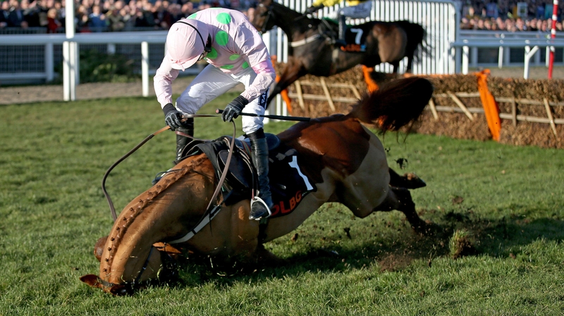 Annie Power was 1/2 favourite to win the race but fell at the last