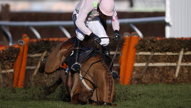 Annie Power took a heavy fall at Cheltenham