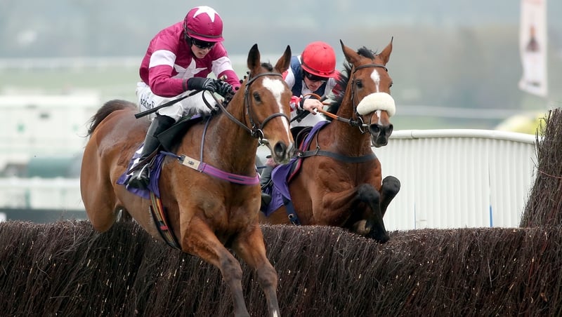 Don Poli was in winning form at Aintree