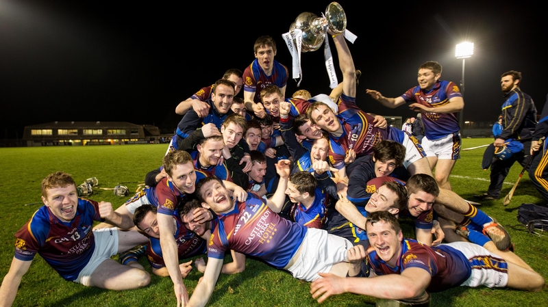 UL players celebrate with the Fitzgibbon Cup