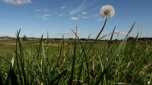 The agriculture sector is the biggest user of SBCI loans, accounting for 22.9% of the total