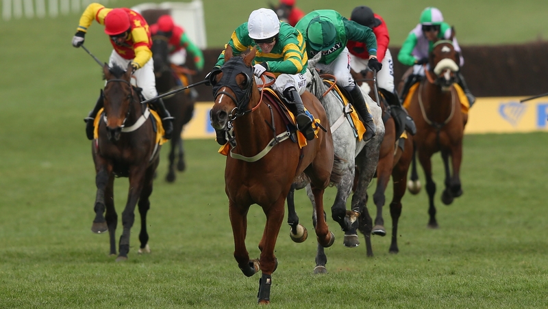 16-1 shot Uxizandre won the Ryanair Chase by a good distance