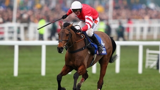 Coneygree was a 7-1 winner of the 2015 Gold Cup