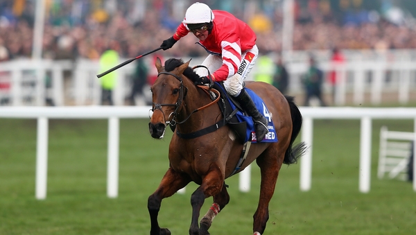 Coneygree was a 7-1 winner of the 2015 Gold Cup