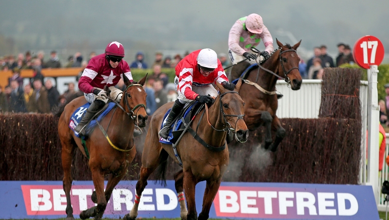 Coneygree's absence has left the Irish horses leading the betting for next March's showpiece