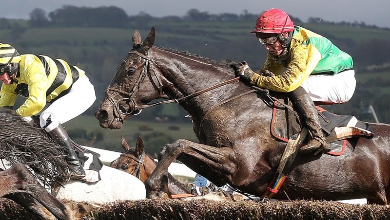 Goonyella claimed a hard fought Midlands Grand National victory