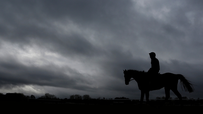Hurricane Fly on the gallops at Cheltenham last week