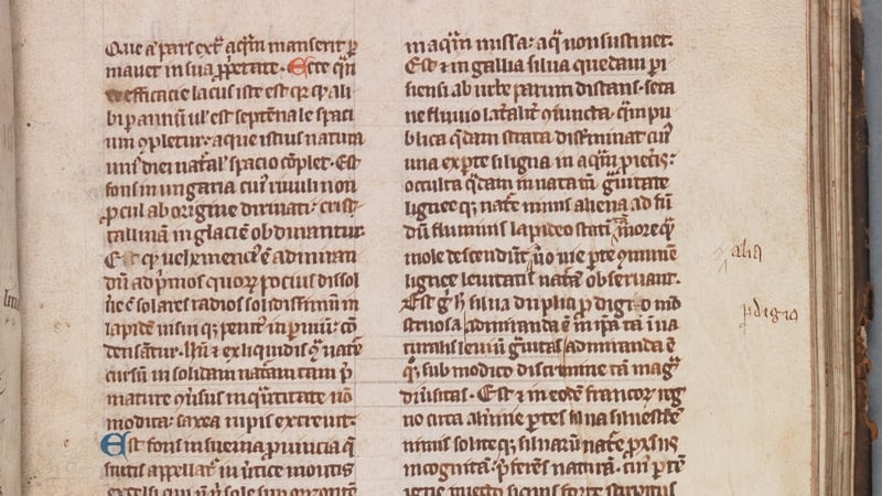 "A word bantráill, explained as "female slave", is probably a combination of Irish ban- "female" and Old Norse þræll "slave""