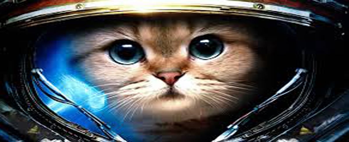 Nothing and No One Go To The Moon