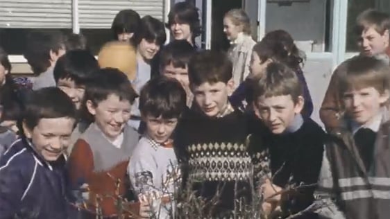 Moving Statues in Kerry (1985)