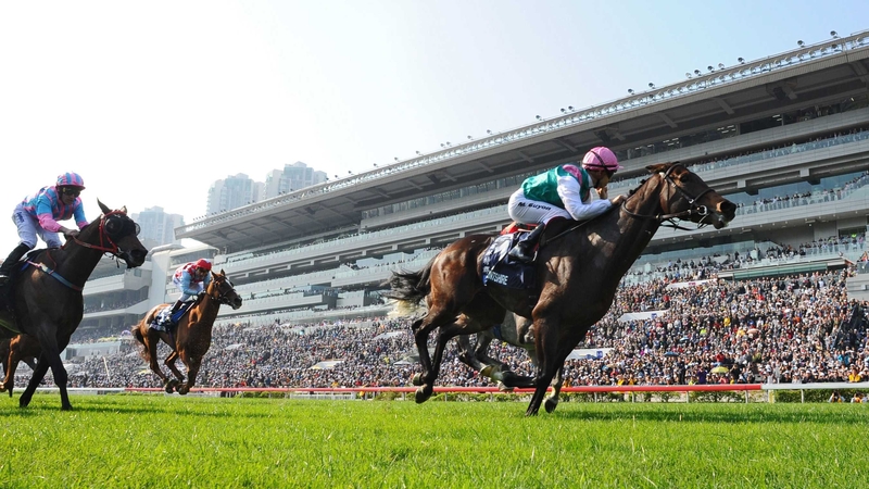 Flintshire should relish the fast surface at Meydan