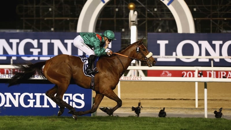 Dolniya scoops one of the world's biggest races less than a year after making her racecourse debut