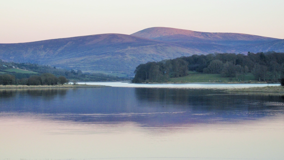 Twelve Months Around Blessington