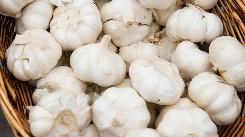 Data gathered during the testing shows that the mixture kills up to 90% of MRSA bacteria