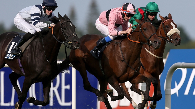 Toe The Line (pink and black silks) wins at Leopardstown in September