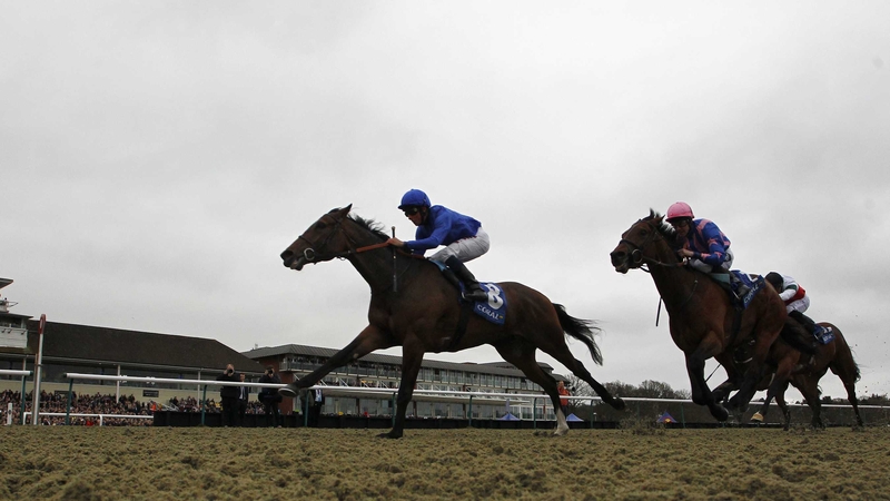 Tryster mowed down Complicit in the shadow of the post at Lingfield