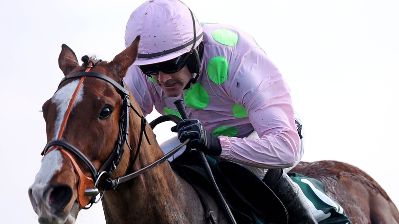 Sempre Medici is almost certain to be sent off a short-priced favourite for the Limestone Lad Hurdle