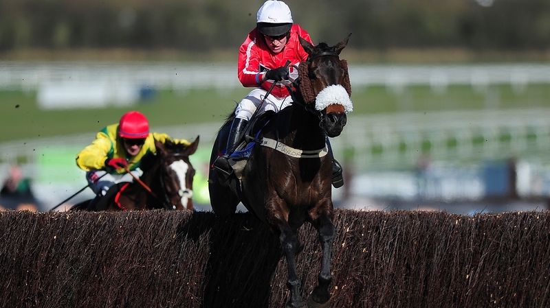 The Druids Nephew goes into the Grand National with a big chance according to Aidan Coleman