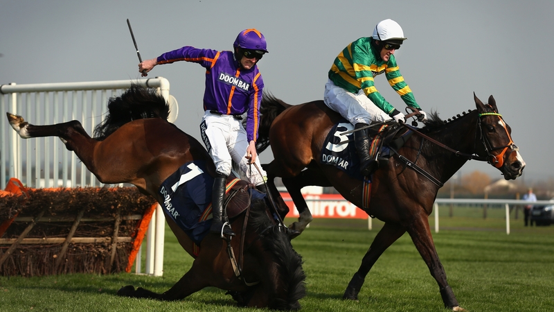 Arctic Fire ridden by Ruby Walsh falls at the last as Jezki ridden by Tony McCoy lands ahead of them to go on and win