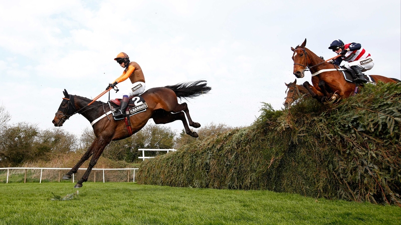 Rajdhani Express safely negotiates the 11th fence in the Topham Chase