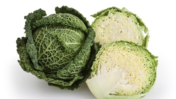 Savoy Cabbage Purée