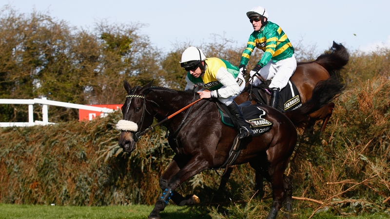 Many Clouds was a former winner of the Grand National
