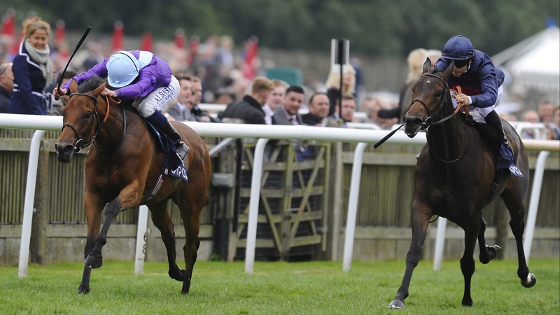 High Celebrity (R) pictured finishing second to Arabian Queen at Newmarket last July
