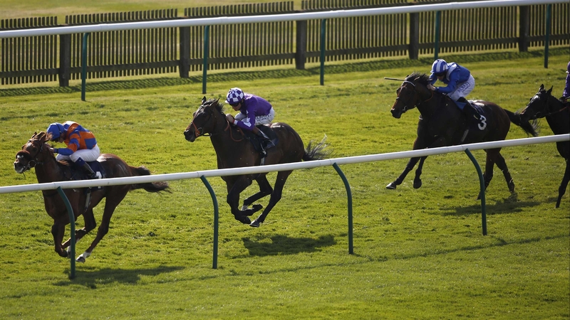 Home Of The Brave leads home Tupi in the European Free Handicap on his seasonal debut