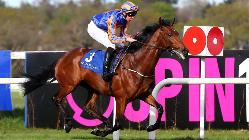 Like so many of Aidan O'Brien's runners, Leopardstown winner Hans Holbein improved markedly for his seasonal debut