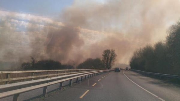 Reeds and bushes are seen on fire along the Tramore road in Waterford (Pic: Susan Hannon)