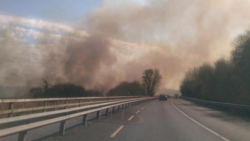 Reeds and bushes are seen on fire along the Tramore road in Waterford (Pic: Susan Hannon)