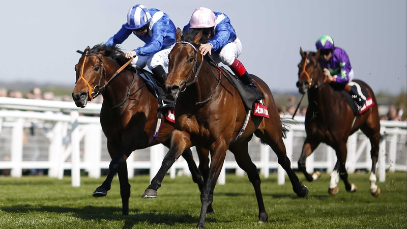 Muhaarar (pink cap) set a new course record at Newbury