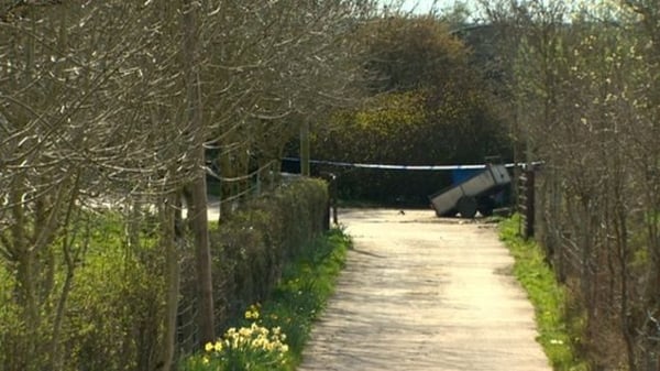 Seven dogs and six pups died in the blaze in the Drumcor road area of Clabby