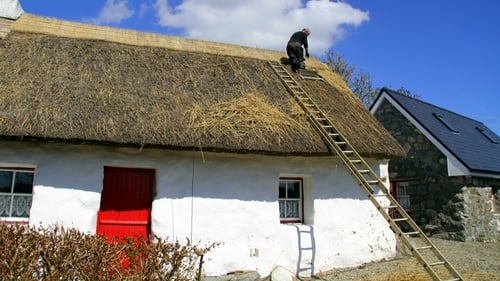 Senator Manus Boyle said that there are only ten master thatchers in Ireland (file image)