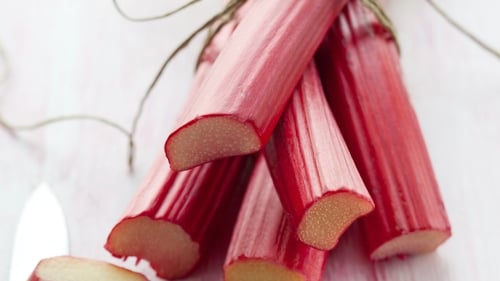 Light Rhubarb Cheesecake