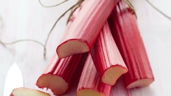 Light Rhubarb Cheesecake